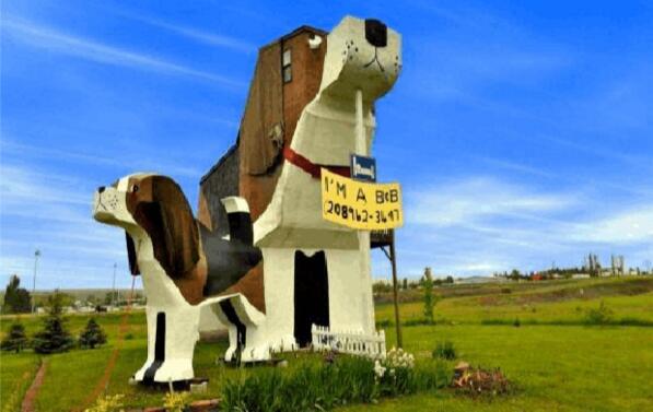 �Ƶ��b��Ч���D