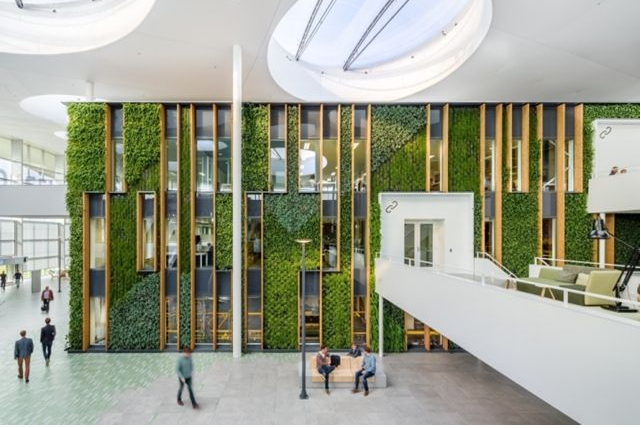 �Gɫ�k�����b��Ч���D